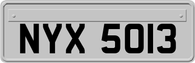 NYX5013