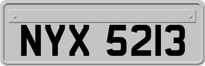 NYX5213