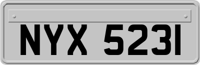 NYX5231