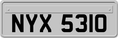 NYX5310