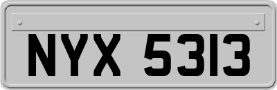 NYX5313