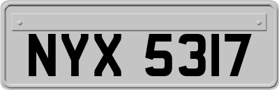 NYX5317