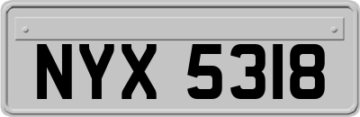 NYX5318