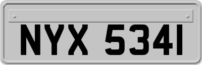 NYX5341