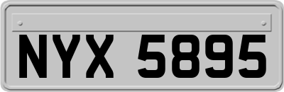 NYX5895