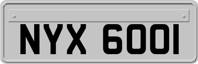 NYX6001