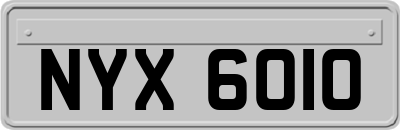 NYX6010