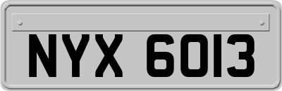 NYX6013