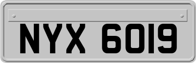 NYX6019