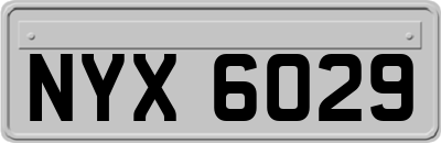 NYX6029