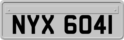 NYX6041