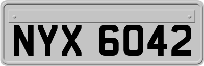 NYX6042