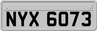 NYX6073