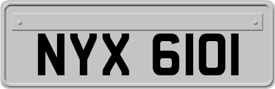 NYX6101