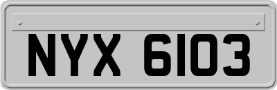NYX6103