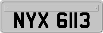 NYX6113
