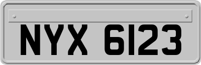 NYX6123