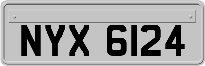 NYX6124