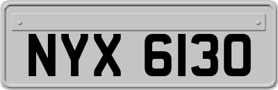 NYX6130