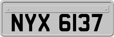 NYX6137
