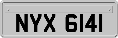 NYX6141