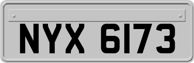 NYX6173