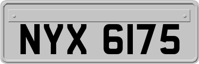 NYX6175