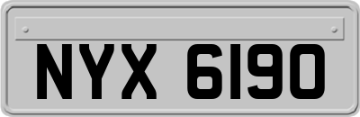NYX6190