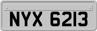 NYX6213