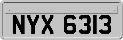 NYX6313