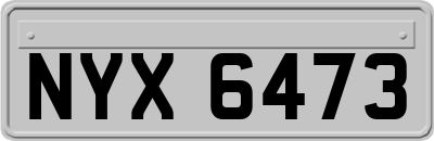 NYX6473