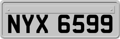 NYX6599