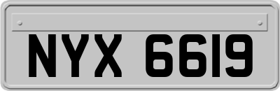 NYX6619