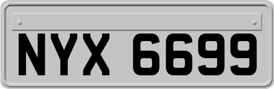 NYX6699