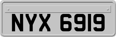 NYX6919