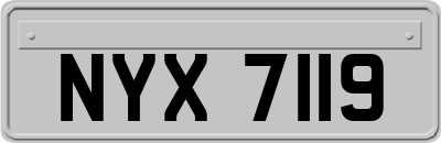 NYX7119