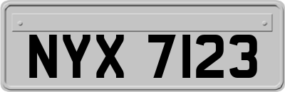 NYX7123