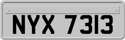 NYX7313