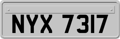 NYX7317