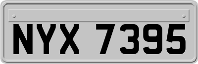 NYX7395