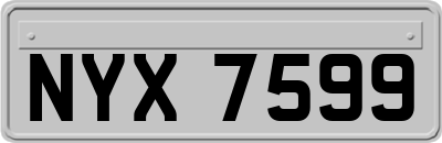 NYX7599