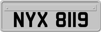 NYX8119