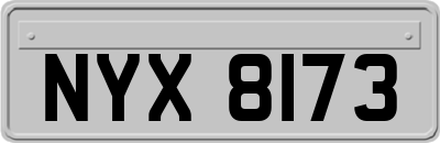 NYX8173