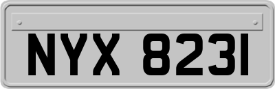 NYX8231