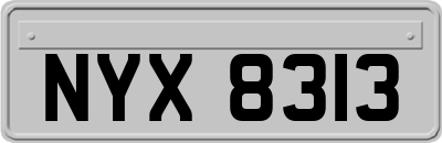 NYX8313