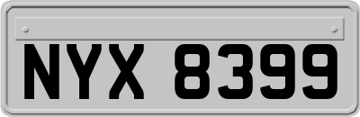 NYX8399