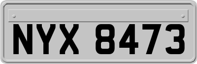 NYX8473