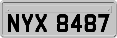 NYX8487
