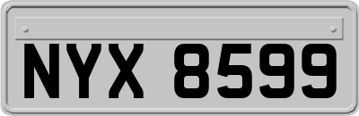 NYX8599