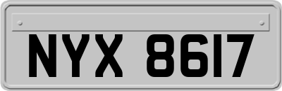 NYX8617